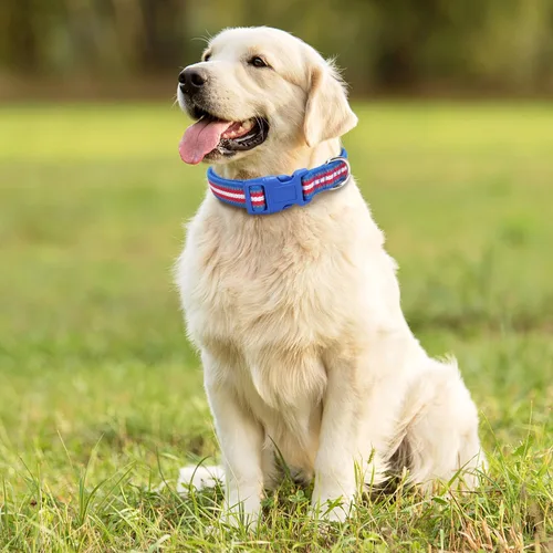 Vista 4 de TDTOK Collar de nailon reflectante para perro, bonito collar acolchado de neopreno suave para perros grandes, medianos y pequeños con hebilla