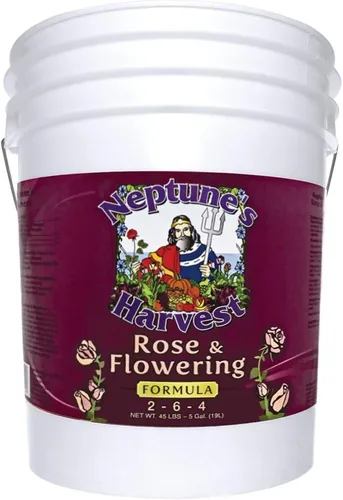Neptune's Harvest Fertilizante de rosas y flores (2-6-4) - Cubo de 5 galones - Alimento líquido orgánico para flores vibrantes y crecimiento -