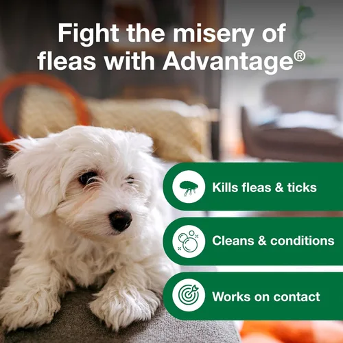 Vista 5 de Advantage Champú para pulgas y garrapatas para perros y perros adultos Mata pulgas y garrapatas 24 onzas