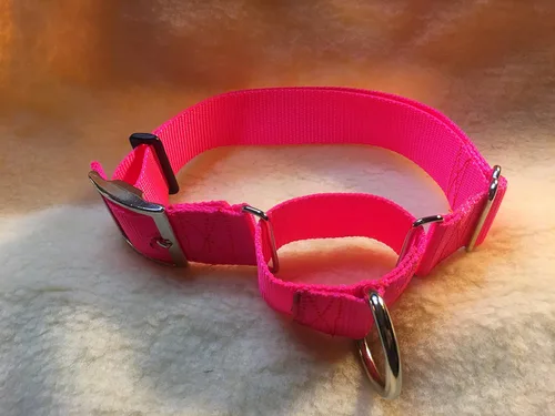 Vista 7 de Carter Pet Supply Martingale Dog Collar METAL BUCKLES Greyhound Training Collar (Large, YELLOW)