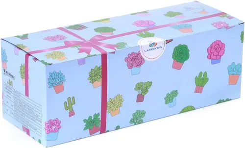 Vista 6 de Lindas macetas de cerámica para suculentas, maceta con drenaje y platillo adjunto, juego de 5 plantas no incluidas (hornillo)