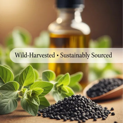 Vista 8 de Aceite de orégano silvestre con semillas negras – 80% + Carvacrol – Puro y sin diluir – Gotas líquidas de 0.34 onzas líquidas Certificado GMP