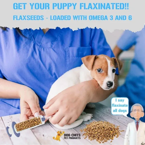 Vista 4 de Dog Chits Masticable suave de cordero y linaza para perros – Masticables para perros y cachorros Hecho en Estados Unidos Cordero estadounidense