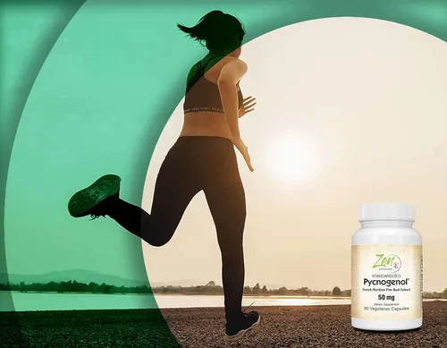 Vista 3 de Antioxidante de corteza de pino marino francés 50 mg - Pycnogenol 30 cápsulas vegetales por Zen Supplements