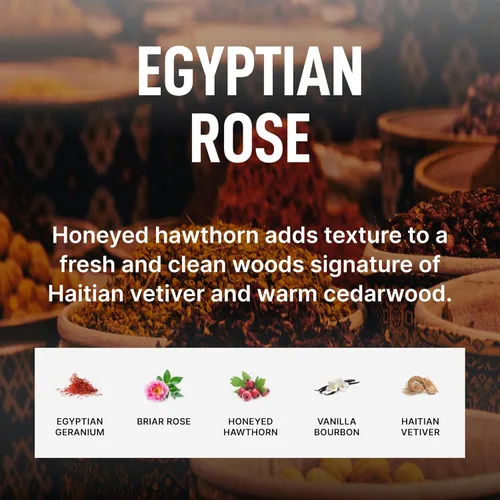 Vista 5 de Laundry Sauce - Cápsulas de detergente para ropa perfumado de lujo y paquete potenciador de aroma (Rosa Egipcia), cápsulas premium para lavado