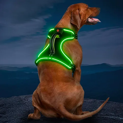 Vista 9 de Arnés para perro iluminado con batería pequeño