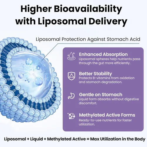 Vista 2 de Complejo de vitamina B liposomal líquido sublingual complejo B suplemento de vitaminas para mujeres y hombres mejora la absorción metilada B12, B1