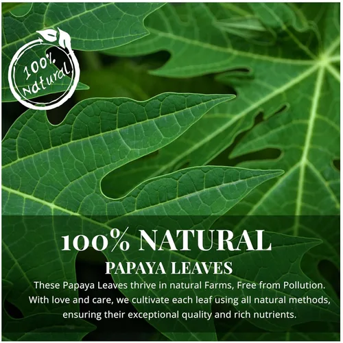 Vista 3 de Akshit Hojas de papaya secas, té de hojas, 13 onzas, hojas de papaya secas, té de hojas secas naturales, sin cafeína, sin OMG. Perfecto