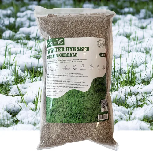 Semillas de centeno de invierno, 5 libras, semillas de cultivo de cobertura