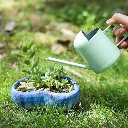 Vista 3 de Regadera Mini, 300ml/10oz de Acero Inoxidable con Boquilla Larga, Regadera Pequeña para Plantas de Interior, Suculentas, Hierbas (Verde)
