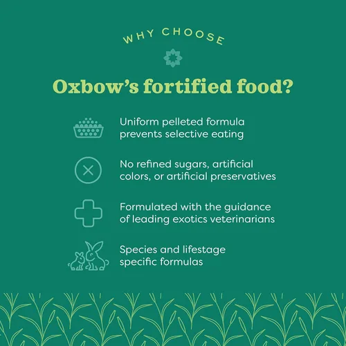 Vista 4 de Oxbow Garden Select Comida para Conejos, Conejo Adulto, Hecho con Heno Timothy de Oxbow, Pellets de Comida para Mascotas Ricos en Vitaminas