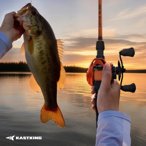 Vista 16 de KastKing Lethal Blaze - Combo de caña de pescar y carrete de doble punta, combo de spinning y baitcaster, diseño de patrón de llama, caña de grafito