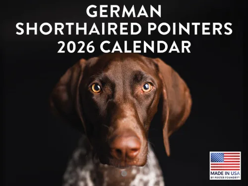 Vista 37 de Calendario de pared mensual 2025 Great Dane de 12 meses, fabricado en Estados Unidos