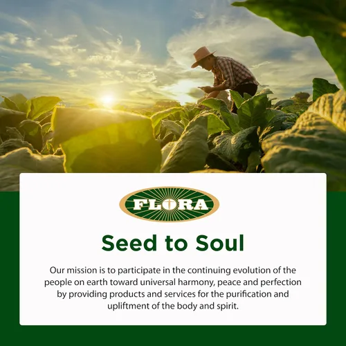 Vista 7 de Flora FloraSil 90 cápsulas vegetales - Suplemento de sílice con extracto de cola de caballo para un cabello, piel y uñas saludables* - Apoya