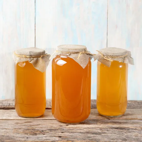 Vista 6 de 1 Kombucha Scoby orgánico, Live Cultura by Scoby Kombucha