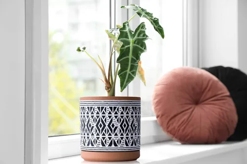 Vista 6 de D'vine Dev Juego de 2 macetas de terracota, maceta con patrón de diamante, 4 y 6 pulgadas, maceta con orificio de drenaje y platillo