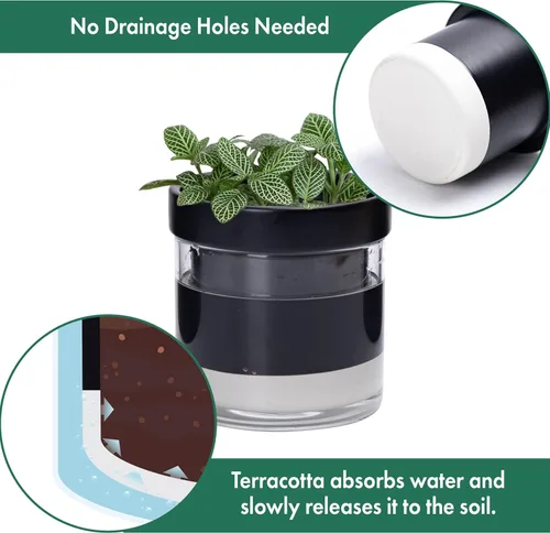 Vista 5 de Phoenix Vine Macetero de terracota de riego automático de 4 pulgadas, maceta de arcilla de terracota negra con depósito de vidrio para plantas
