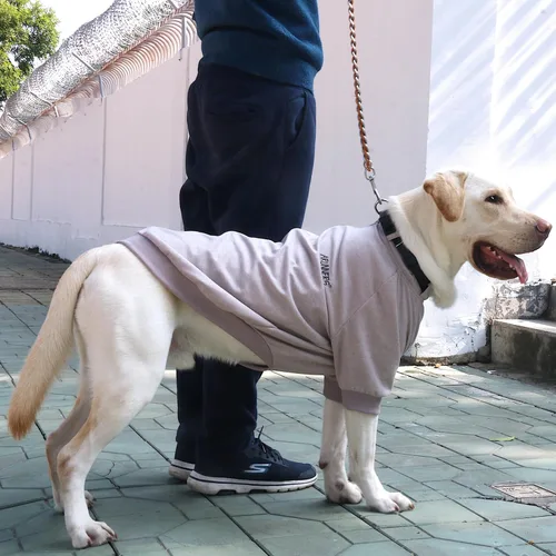 Vista 46 de Camisetas a rayas para perros medianos, ropa sin mangas, camiseta sin mangas, chaleco para Schnauzer, Shiba Inu, rojo, grande