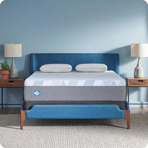 Vista 15 de Sealy Dreamlife - Colchón híbrido de 10 pulgadas en una caja, individual, espuma viscoelástica de gel SealyComfort, bobinas encapsuladas