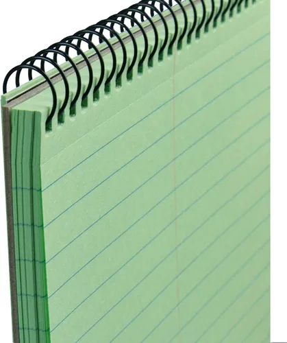 Vista 4 de KAISA KSU-08157 - Bloc Steno de 80 hojas, con rayas Gregg con margen, 6 x 9 pulgadas, cuaderno encuadernado con alambre para tomar notas, reuniones