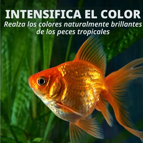 Vista 13 de Tetra Goldfish Flakes, dieta nutricionalmente equilibrada para peces de acuario, copos enriquecidos con vitamina C, 7.06 onzas