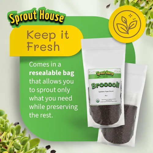 Vista 9 de Semillas para sembrar de brócoli The Sprout House, orgánicas certificadas, no transgénicas, 1 libra