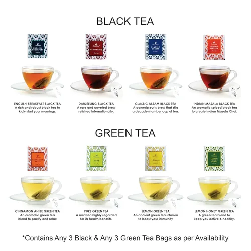 Vista 73 de Octavius Paquete de muestra de té Surtido de tés verdes Té verde de anís canela 50 bolsas de té de doble cámara envueltas Paquete variado