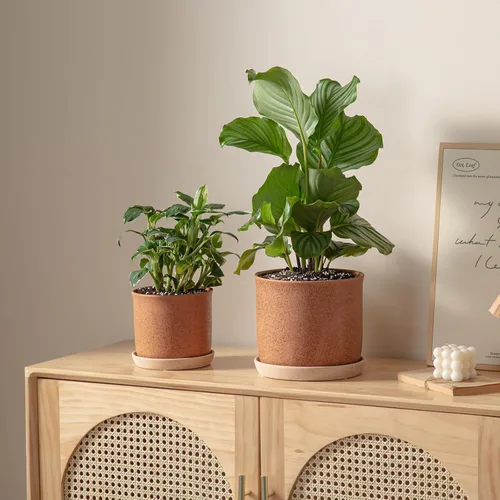 Vista 59 de Macetas de 5.8 pulgadas: maceta de cerámica con orificio de drenaje y platillo - Maceta para plantas de interior y exterior - Diseño con cuentas