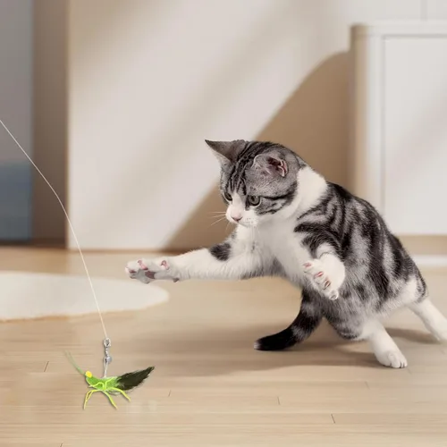 Vista 4 de 3 piezas de juguetes de plumas para gatos, juguetes interactivos para gatos con simulación de plumas, insectos, recambios de saltamontes, accesorios