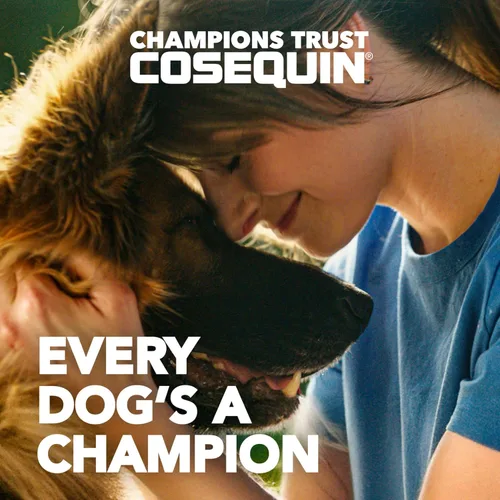 Vista 2 de Nutramax Cosequin Elements - Suplemento de salud articular para perros, contiene glucosamina para perros, MSM, apoya articulaciones saludables