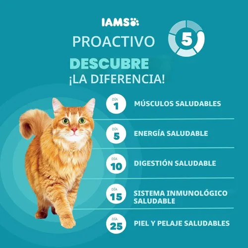 Vista 4 de Iams Proactive Health Adult Indoor Weight & Hairball Control Comida seca para gatos