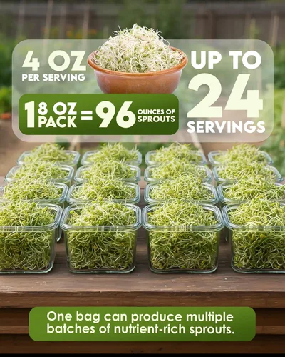 Vista 3 de Nature Jim's Sprout Organic Broccoli Seeds – Non-GMO, Sprouting Seeds - 8oz