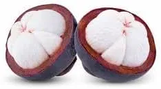 Vista 2 de Nuevas semillas frescas de fruta de mangostán 50pcs Generic