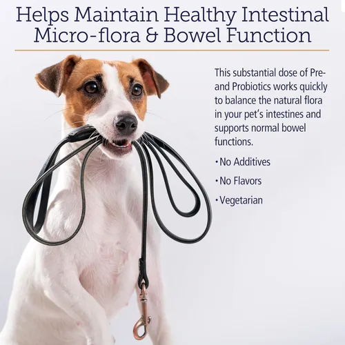 Vista 4 de Rx Vitamins Rx Biotic - Polvo probiótico para perros y gatos - Apoyo digestivo y probiótico para perros salud intestinal - Probióticos para perros