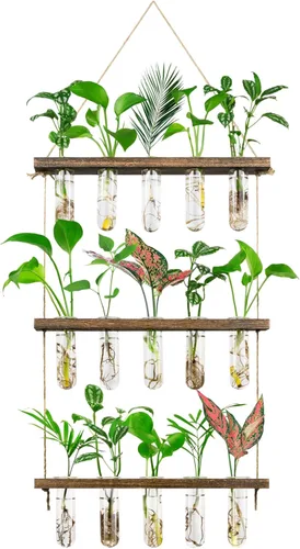 Monsiter QE Estación de Propagación de 3 Niveles Grandes para Pared, Terrario de Plantas con Soporte de Madera, Tubo de Prueba Retro para Plantas