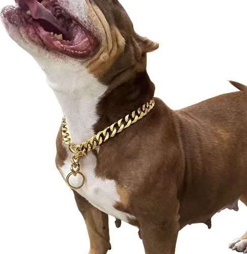 Vista 9 de Cierres de langosta fuertes ajustables para perros, collar de titanio, para entrenamiento, caminar, de metal, a prueba de masticación, para perros