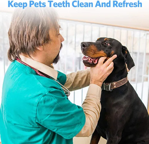 Vista 6 de Herramientas dentales profesionales, herramientas de limpieza de dientes de acero inoxidable para dentista, uso personal, mascotas, kit de higiene