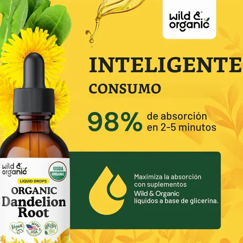 Vista 4 de USDA Suplemento orgánico de raíz de diente de león - Soporte de desintoxicación hepática - 2 oz