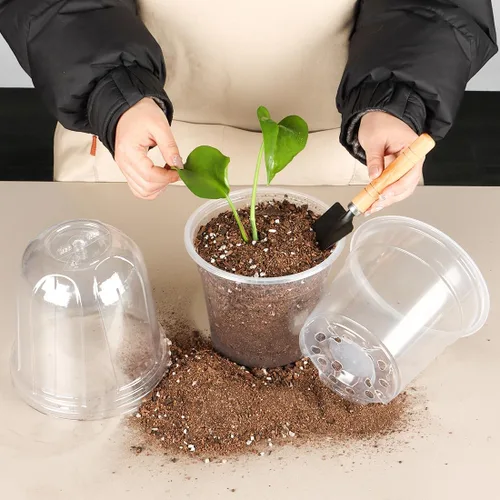 Vista 7 de RooTrimmer - Juego de 60 macetas transparentes para guardería con cúpulas de humedad, macetas de plástico de 4 pulgadas con agujeros de drenaje