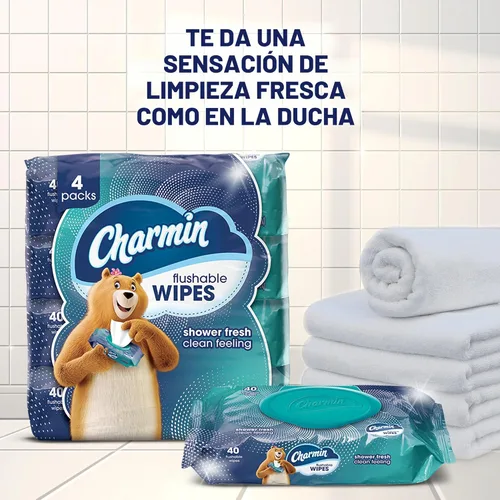 Vista 3 de Charmin Toallitas desechables, 160 toallitas en total (4 paquetes de 40)