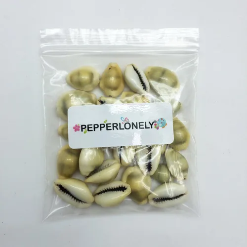 Vista 3 de PEPPERLONELY 25 conchas marinas de Cowrie de dinero, conchas Monetaria Monta, 3/4 pulgadas ~ 1-1/2 pulgadas