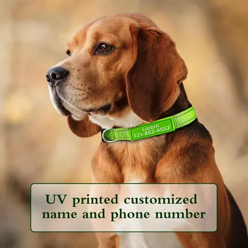 Vista 4 de Collar de perro personalizado, collar de identificación personalizado, collar de nailon reflectante con nombre de mascota y número de teléfono, 4