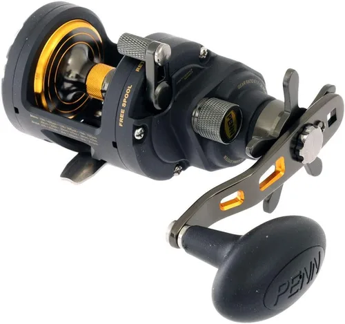 Vista 5 de Penn Fathom II Star Drag - Carrete de pesca convencional, oro negro, 25N