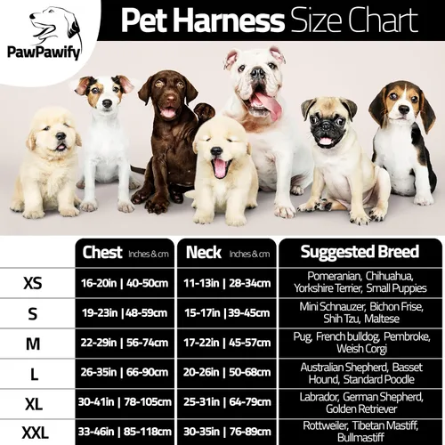 Vista 5 de Arnés de perro personalizado anti tirón con nombre y número de teléfono personalizados de PawPawify, arnés resistente para evitar tirones, Negro
