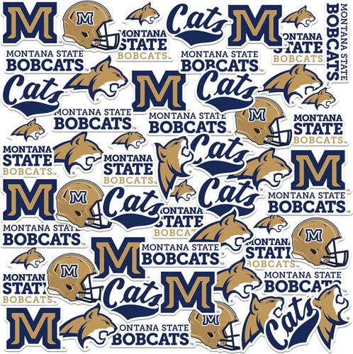 Vista 48 de Clemson University - Paquete variado de 50 calcomanías de vinilo grandes de lujo, para laptop, botella de agua, álbumes de recortes, tableta