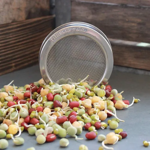 Vista 6 de Kit de germinación de acero inoxidable, paquete de 2, a prueba de óxido, malla curvada 316, se adapta a la mayoría de los frascos Mason de boca