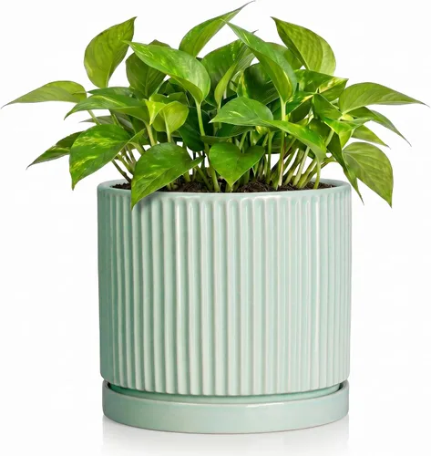Vista 14 de 8 Inch Flower Pot, Ceramic Planters, Round Plant Pot, Beige