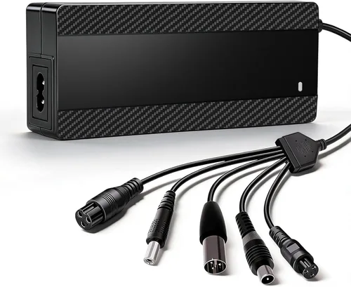 29.4V 2A Electric Scooter Charger for 24V Lithium Battery, 5-in-1 Plug Smart Charger Compatible with Gotrax, Jetson, Razor, Swagtron, Bird, Segway