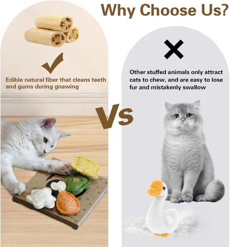 Vista 9 de Juguetes masticables para gatos con hierba gatera y SilverVine (Actinidia) para gatitos y gatos: cuidado dental y comodidad para la dentición