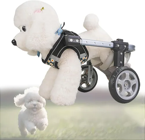 Dog Wheelchair for Back Legs, Pet Wheelchairs with Disabled Hind Legs Walking, Mobility Aids for Small Medium Pets Hind Limbs, Dogs Carts with 2